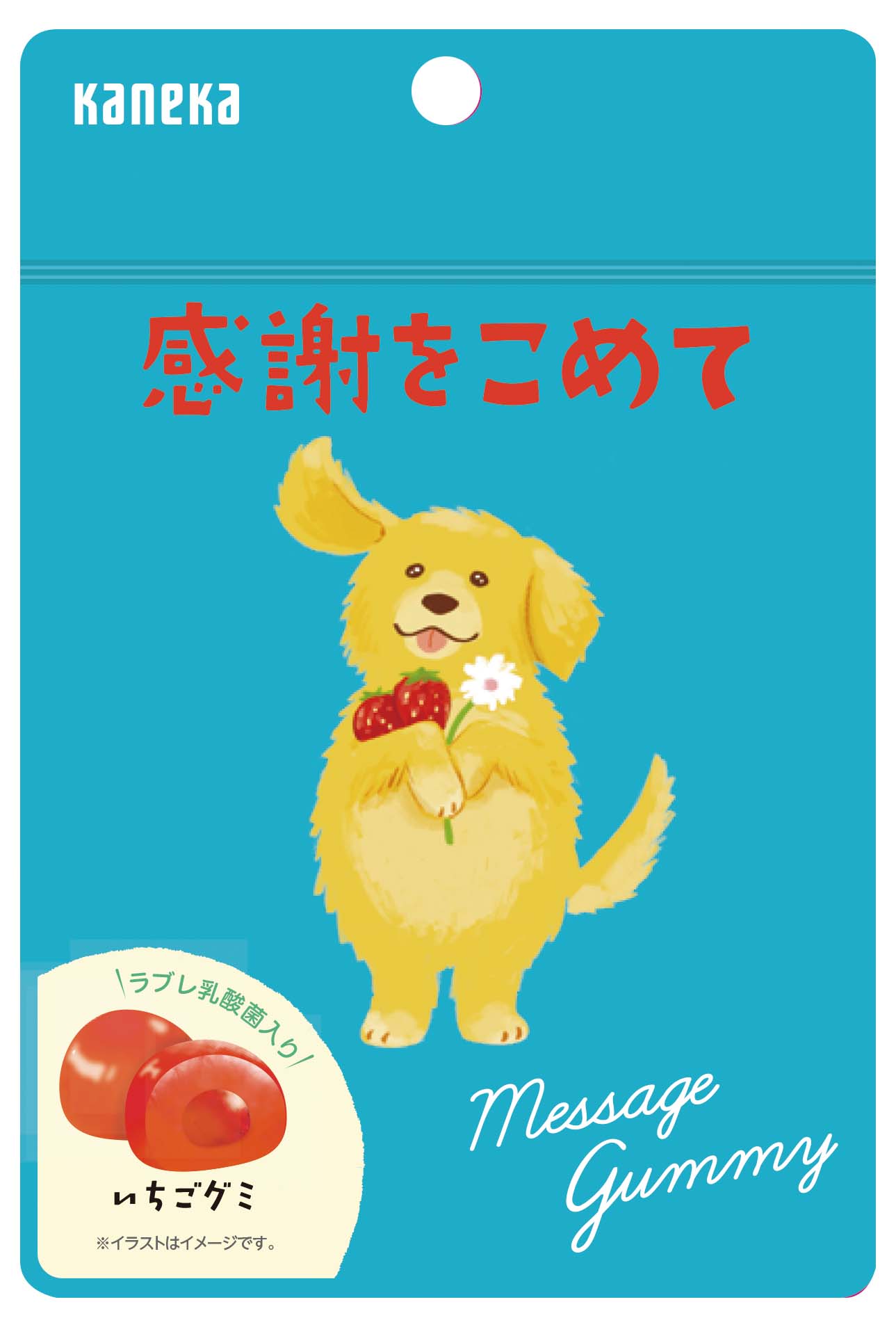 メッセージグミ　感謝をこめて（いちご）